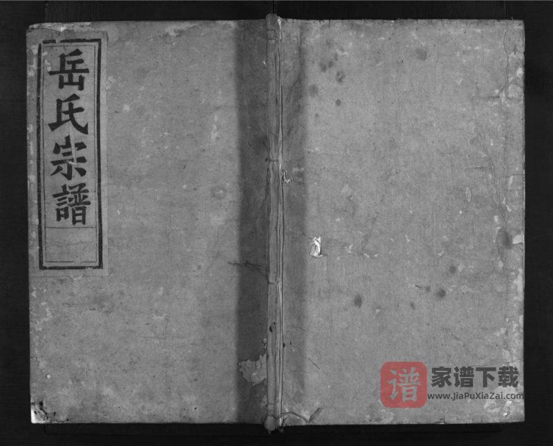 浙江金华兰溪兰江岳氏宗谱（忠孝堂）PDF高清电子版下载-家谱下载