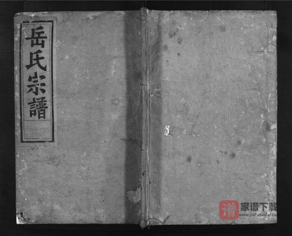 浙江金华兰溪兰江岳氏宗谱（忠孝堂）PDF高清电子版下载