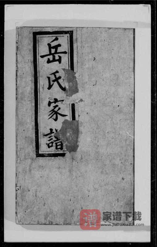 江西南昌北洲岳氏家谱(忠贻堂)PDF高清电子版下载-家谱下载