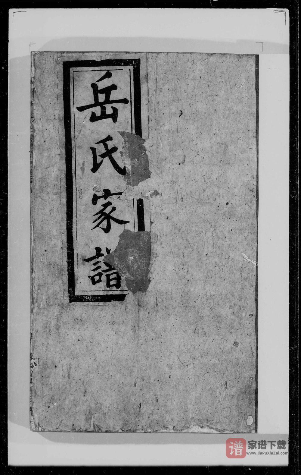 江西南昌北洲岳氏家谱（忠贻堂）PDF高清电子版下载