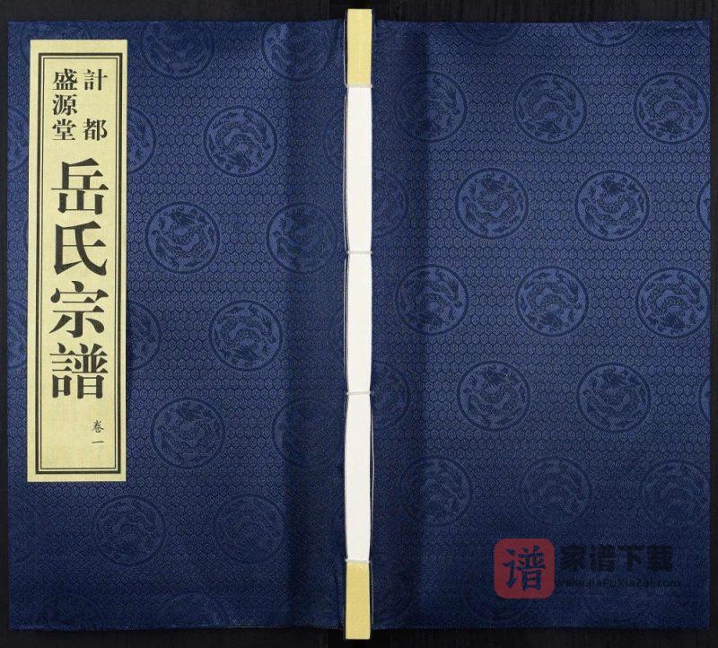 甘肃平凉庄浪县岳氏宗谱(盛源堂)PDF高清电子版下载-家谱下载