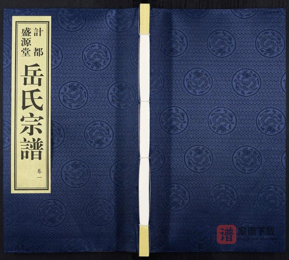 甘肃平凉庄浪县岳氏宗谱（盛源堂）PDF高清电子版下载