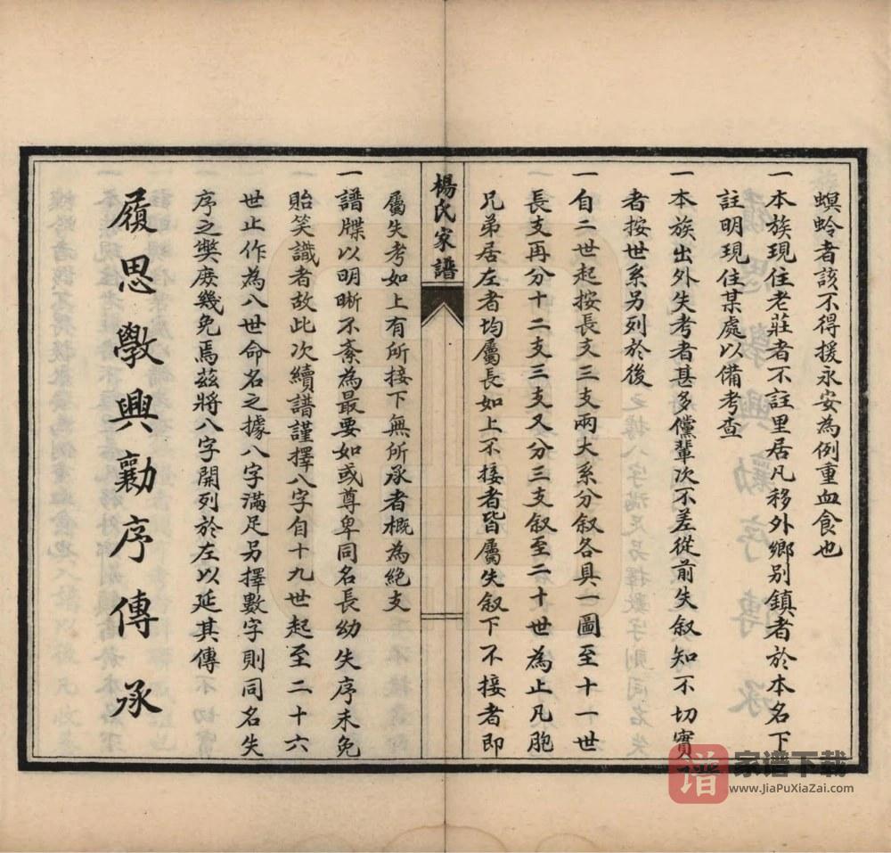 图片[2]-河北沧州沧县杨氏家谱PDF高清电子版下载-家谱下载
