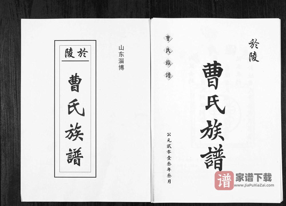 山东淄博於陵曹氏族谱PDF高清电子版下载