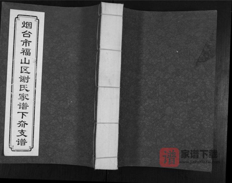 山东烟台福山区谢氏家谱下夼支谱PDF高清电子版下载-家谱下载