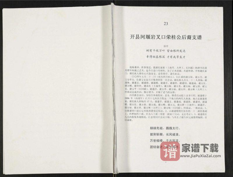 重庆开州区开县河堰岩叉口荣桂公后裔支谱PDF高清电子版下载-家谱下载