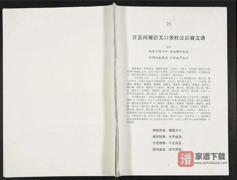 图片[1]-重庆开州区开县河堰岩叉口荣桂公后裔支谱PDF高清电子版下载-家谱下载