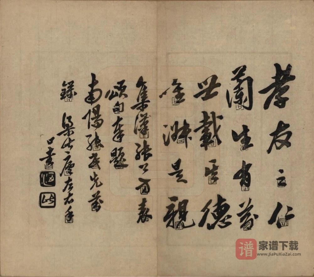 图片[2]-河南南阳张氏先芬录PDF高清电子版下载-家谱下载