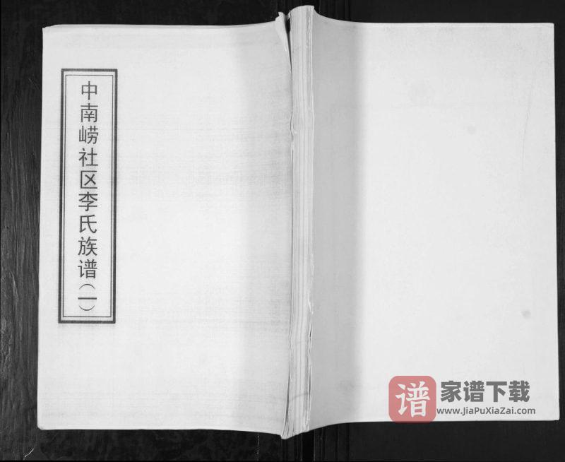 山东青岛崂山区中南崂社区李氏族谱PDF高清电子版下载-家谱下载