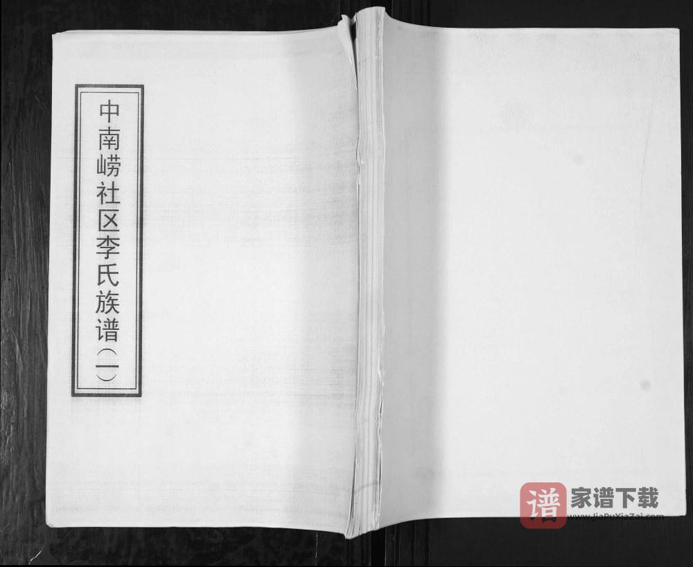 山东青岛崂山区中南崂社区李氏族谱PDF高清电子版下载