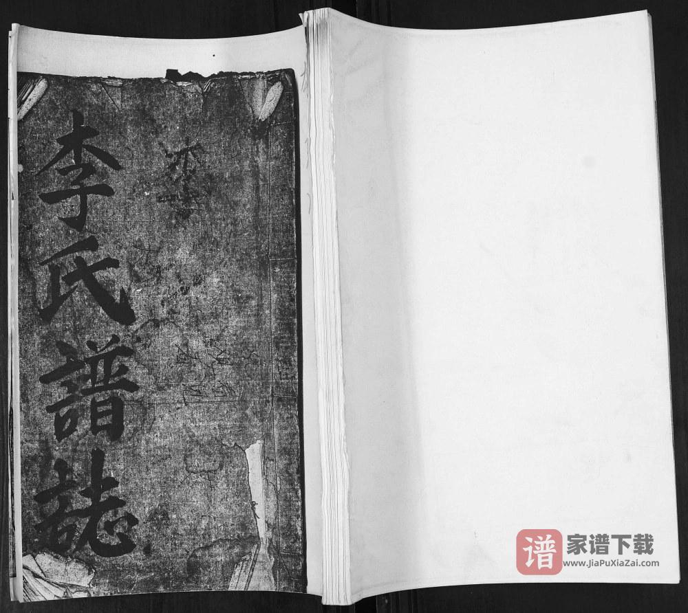 山东青岛即墨李氏谱志（务本堂）PDF高清电子版下载