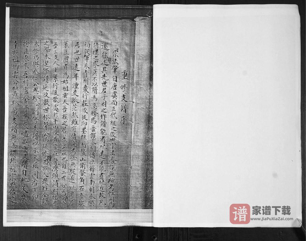图片[2]-山东即墨龙湾头绿豆圈羊山后黄龙庄李氏族谱PDF高清电子版下载-家谱下载