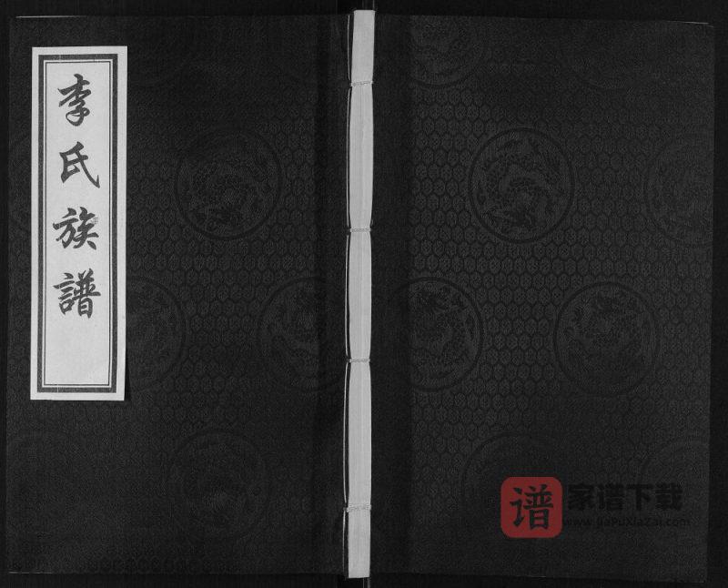 山东滨州惠民县李氏祖谱PDF高清电子版下载-家谱下载