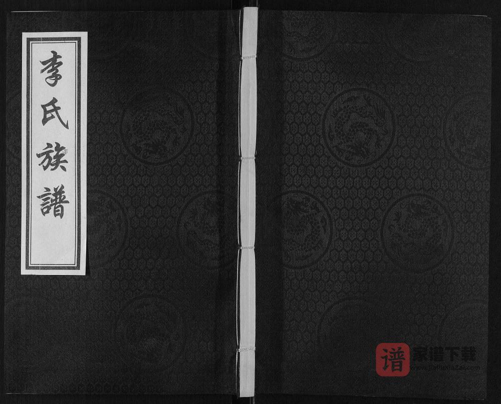 山东滨州惠民县李氏祖谱PDF高清电子版下载