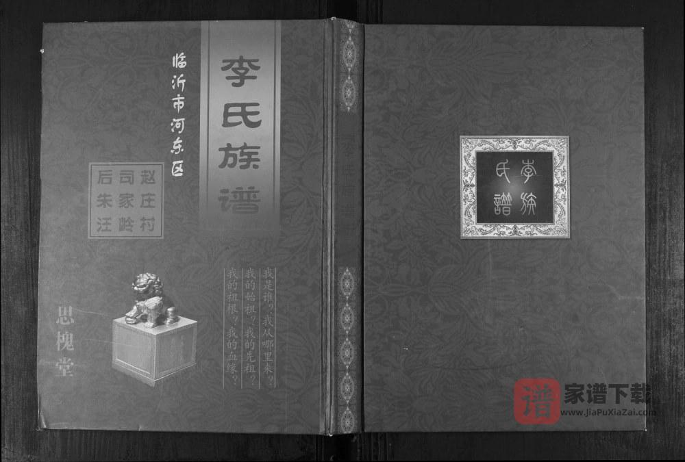 山东临沂河东区赵庄村司家岭后朱汪李氏族谱（思槐堂）PDF高清电子版下载