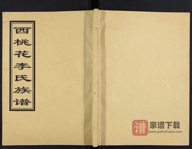山东临沂沂水县西桃花李氏族谱PDF高清电子版下载-家谱下载