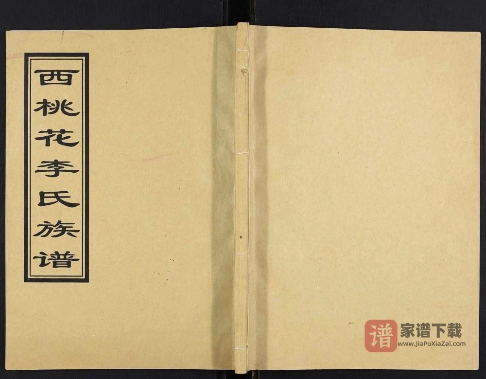 山东临沂沂水县西桃花李氏族谱PDF高清电子版下载