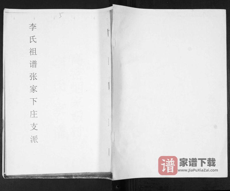 山东高密李氏族谱张家下庄支派PDF高清电子版下载-家谱下载