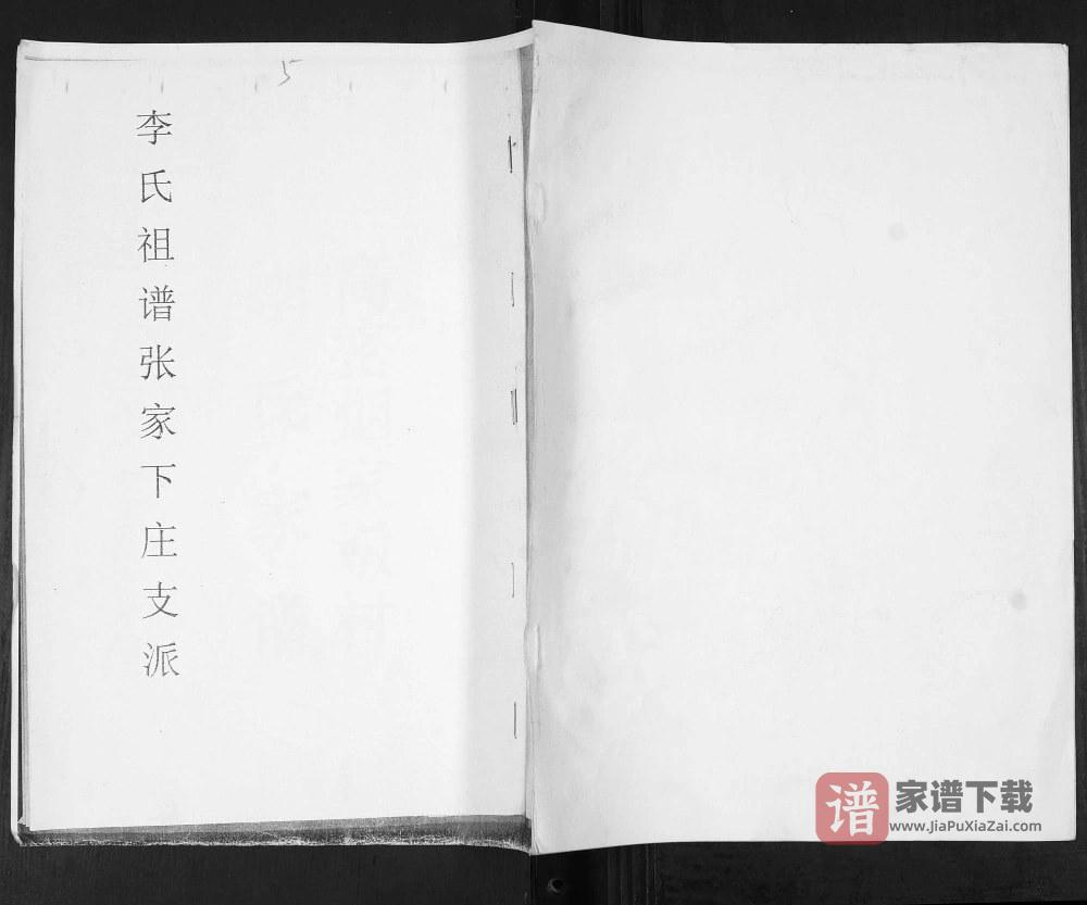 山东高密李氏族谱张家下庄支派PDF高清电子版下载