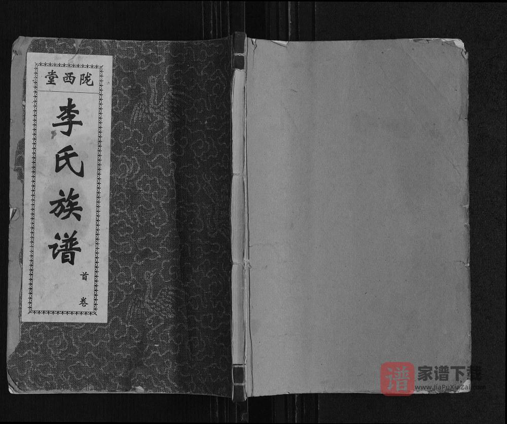 山东肥城李氏族谱（陇西堂）PDF高清电子版下载