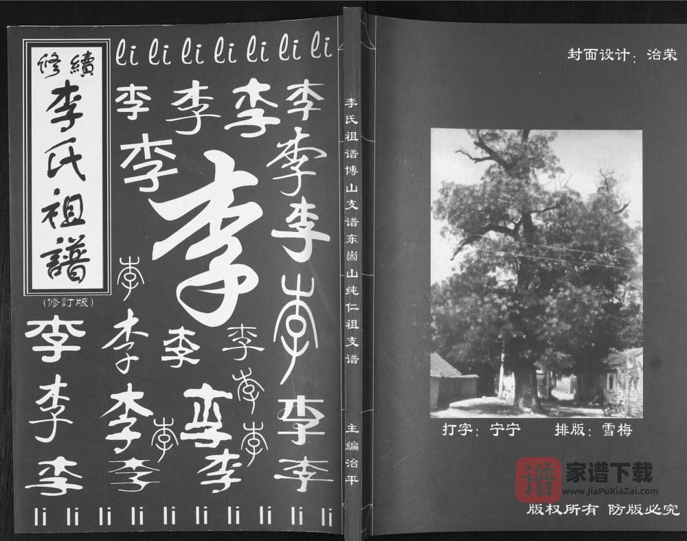山东淄博李氏祖谱博山支谱东崮山纯仁祖支谱PDF高清电子版下载