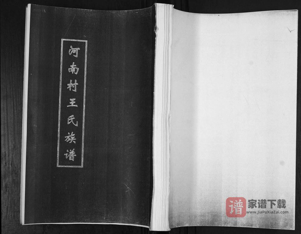 山东青岛即墨河南村王氏族谱PDF高清电子版下载