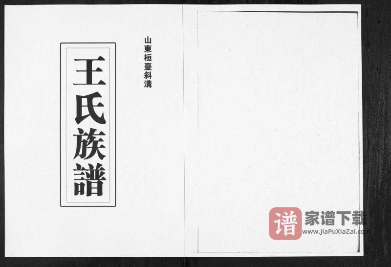 山东淄博桓台斜沟王氏族谱PDF高清电子版下载-家谱下载