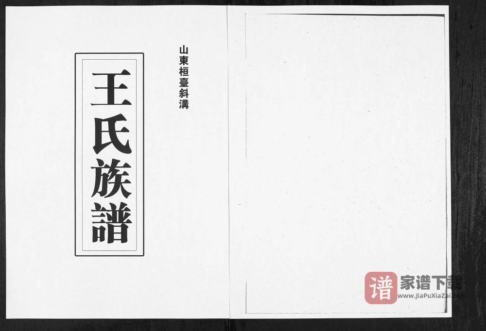山东淄博桓台斜沟王氏族谱PDF高清电子版下载