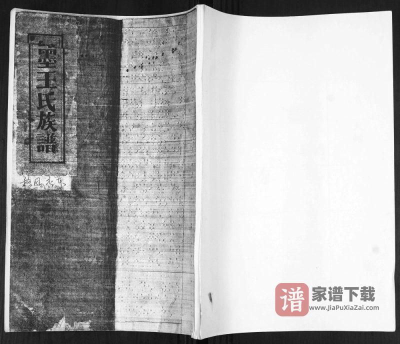 山东青岛即墨移风店东王氏族谱PDF高清电子版下载-家谱下载