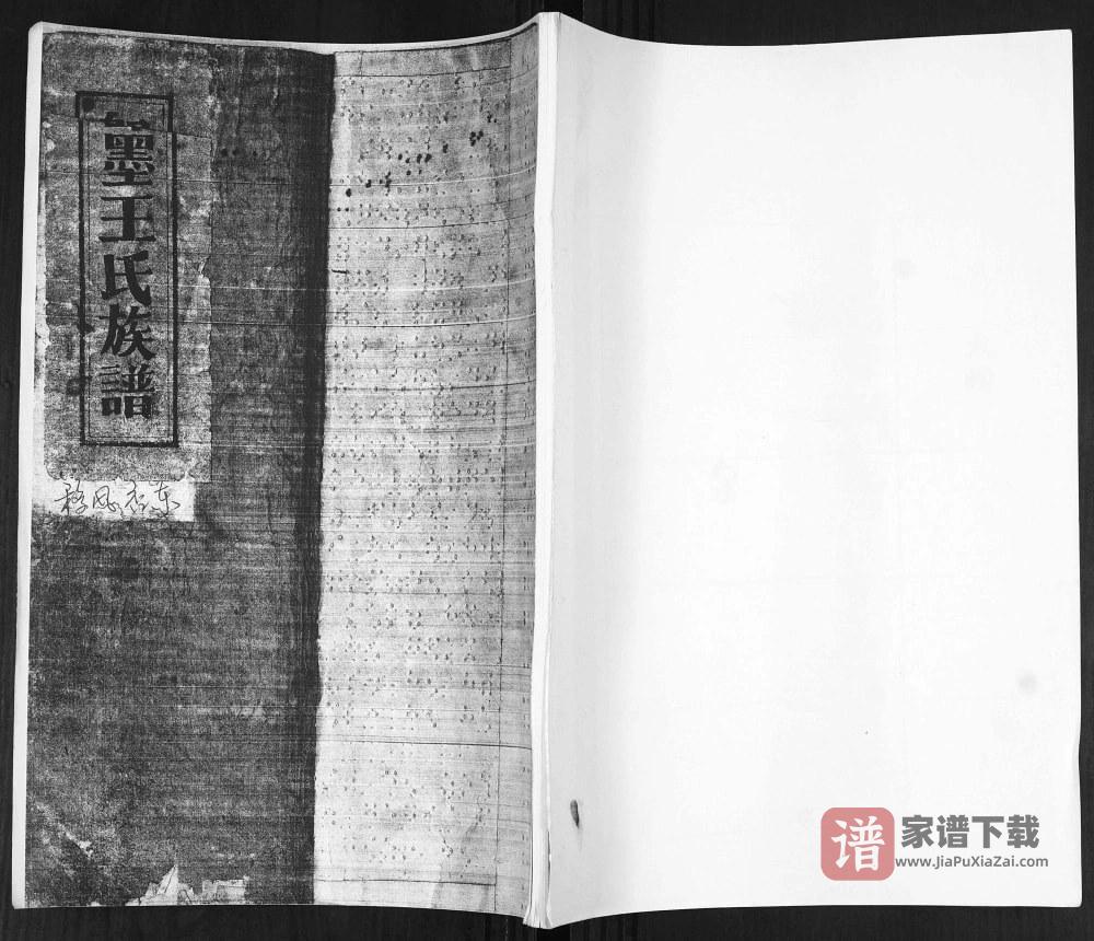 山东青岛即墨移风店东王氏族谱PDF高清电子版下载