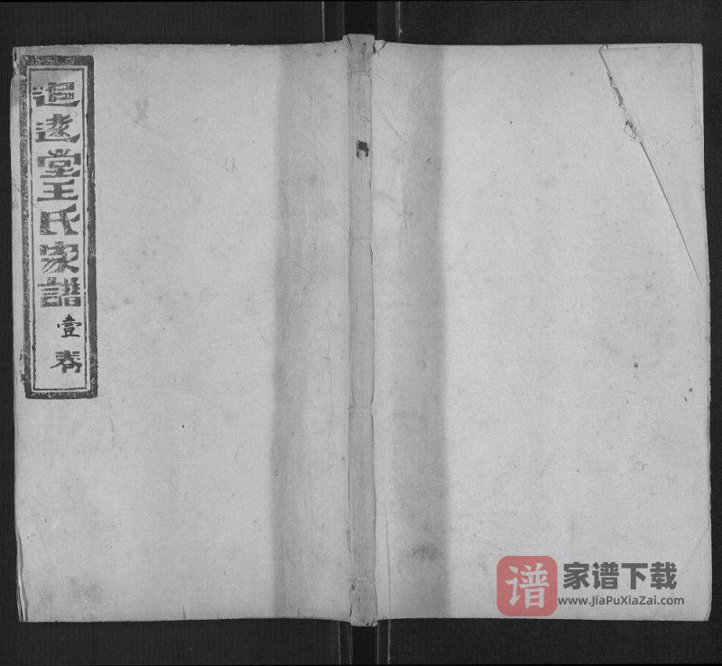 山东肥城王氏家谱(追远堂)PDF高清电子版下载-家谱下载