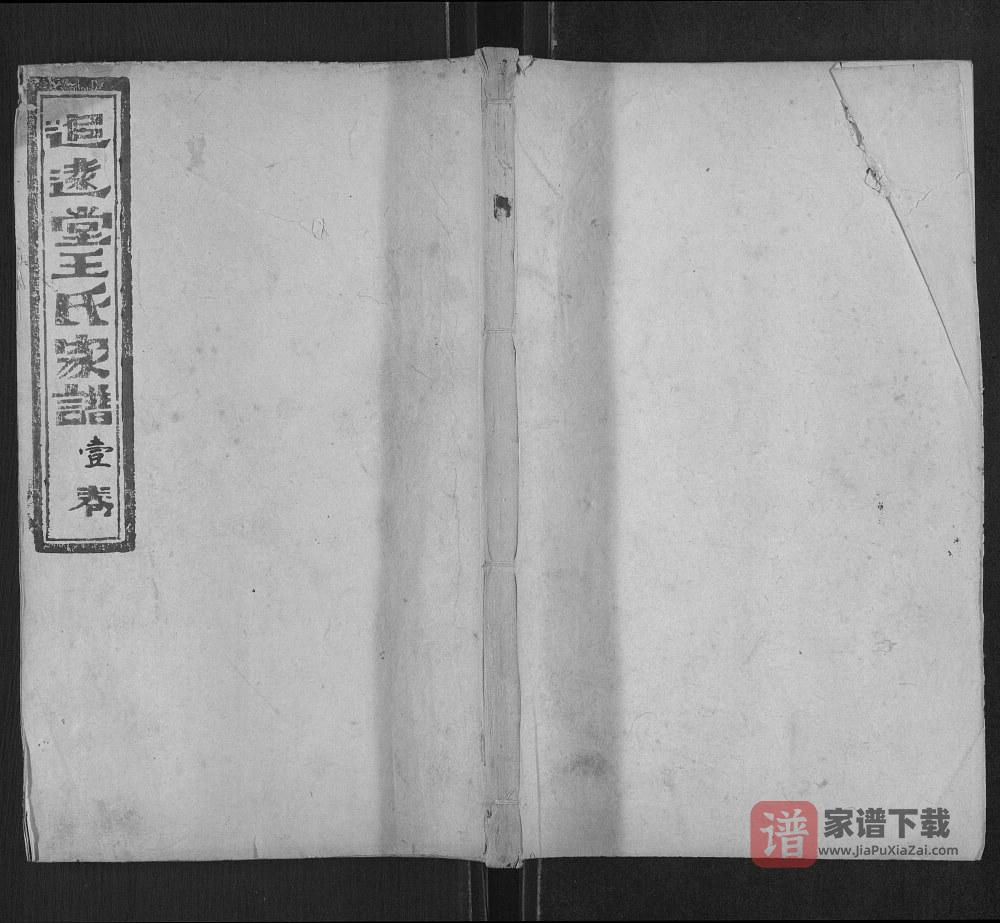山东肥城王氏家谱（追远堂）PDF高清电子版下载