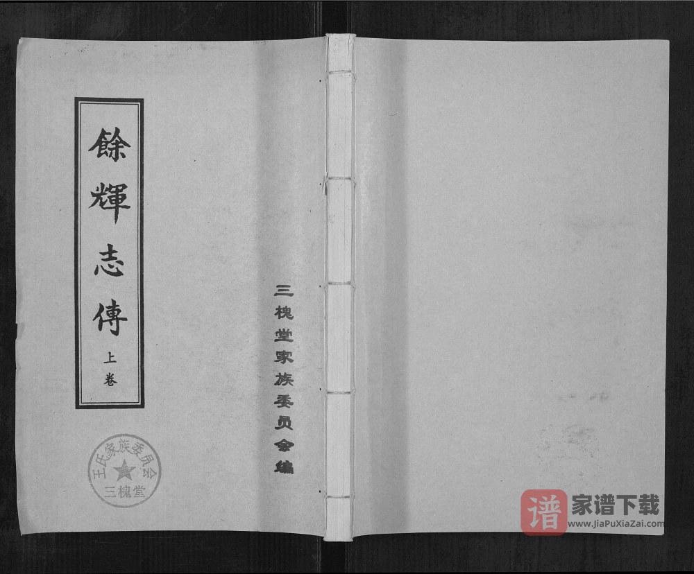 山东菏泽曹县王氏余辉志传（三槐堂）PDF高清电子版下载