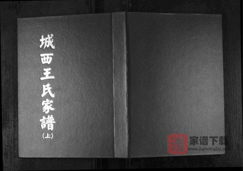 山东烟台福山区城西王氏家谱PDF高清电子版下载-家谱下载