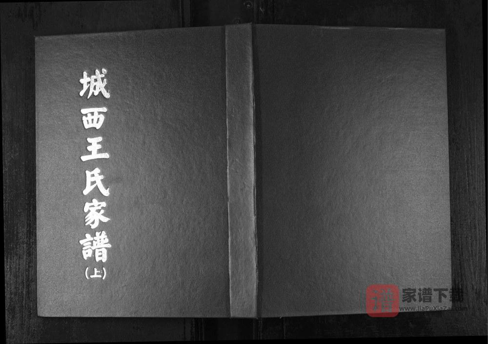 山东烟台福山区城西王氏家谱PDF高清电子版下载
