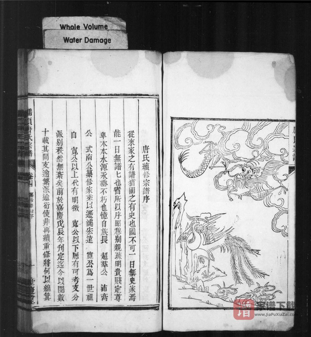 图片[2]-安徽无为濡须唐氏宗谱（世庆堂）PDF高清电子版下载-家谱下载