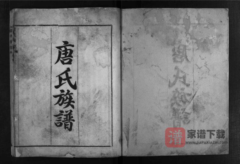 四川德阳罗江区唐氏族谱PDF高清电子版下载-家谱下载