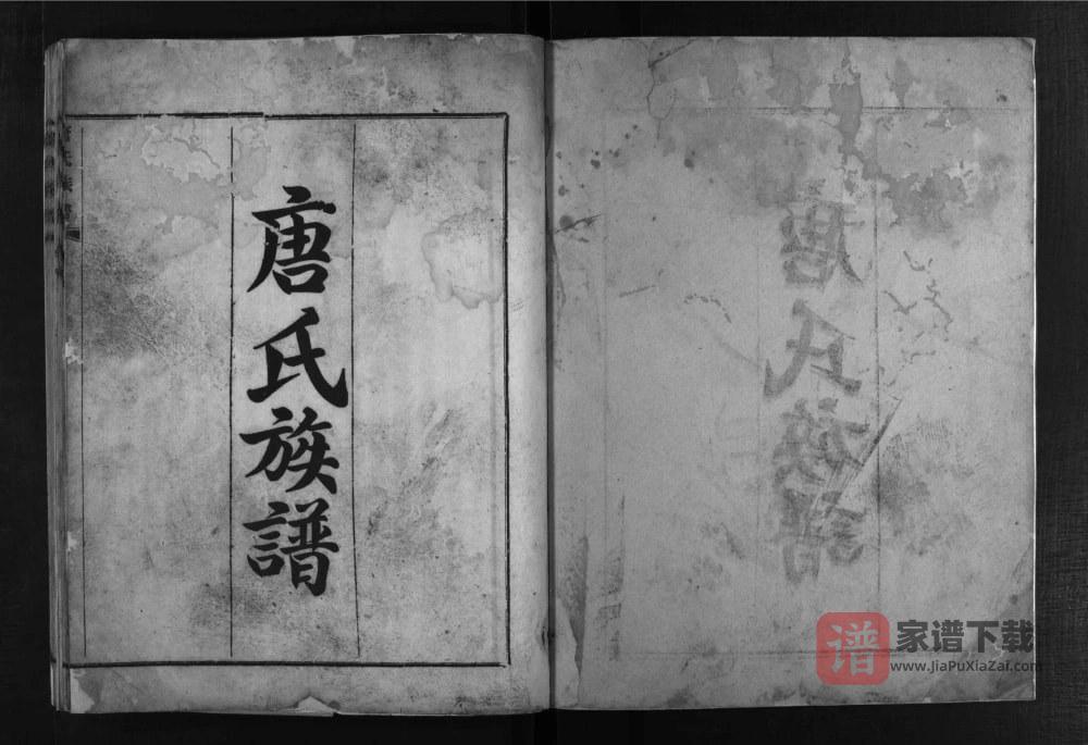 四川德阳罗江区唐氏族谱PDF高清电子版下载
