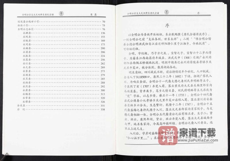重庆大足区唐氏宗谱全明公宗支大足双牌系PDF高清电子版下载-家谱下载