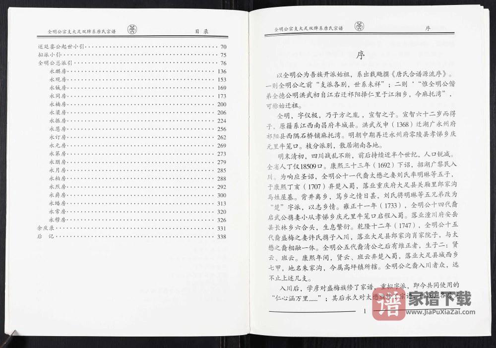 重庆大足区唐氏宗谱全明公宗支大足双牌系PDF高清电子版下载