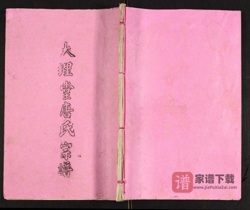 江苏高邮唐氏宗谱（大理堂）PDF高清电子版下载-家谱下载