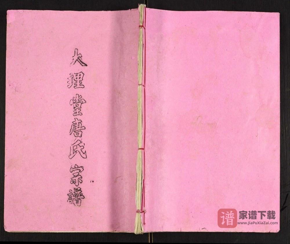 江苏高邮唐氏宗谱（大理堂）PDF高清电子版下载