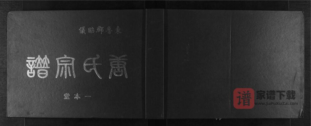 广西桂林灌阳县东鲁郡昭仪唐氏宗谱（一本堂）PDF高清电子版下载