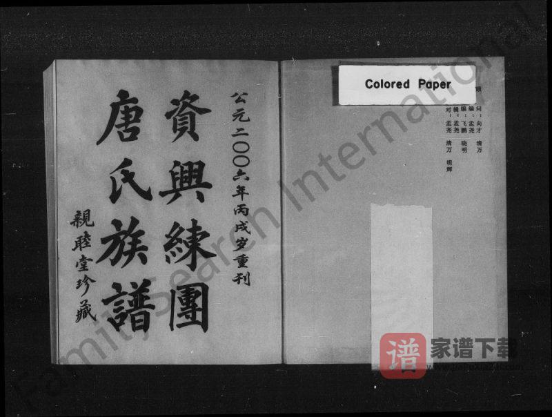 湖南资兴练团唐氏族谱(亲睦堂)PDF高清电子版下载-家谱下载