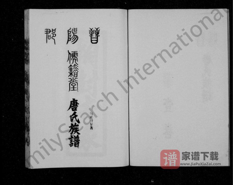 四川达州宣汉县唐氏族谱(儒籍堂)PDF高清电子版下载-家谱下载