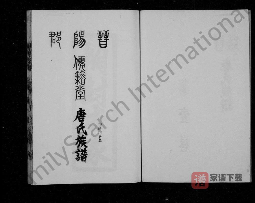 四川达州宣汉县唐氏族谱（儒籍堂）PDF高清电子版下载