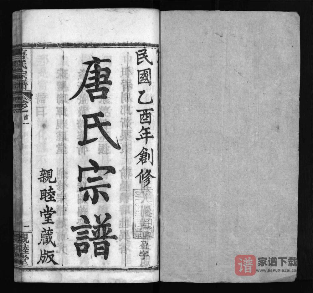 图片[2]-湖北麻城唐氏宗谱（亲睦堂）PDF高清电子版下载-家谱下载