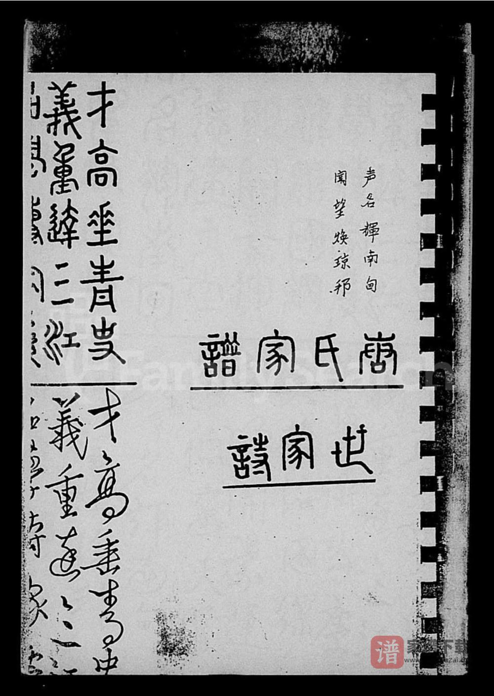 图片[2]-海南文昌荔枝塘村唐氏修家谱（特奏堂）PDF高清电子版下载-家谱下载