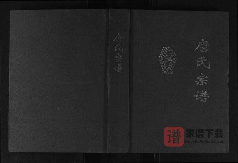‌四川资阳安岳唐氏宗谱PDF高清电子版下载-家谱下载