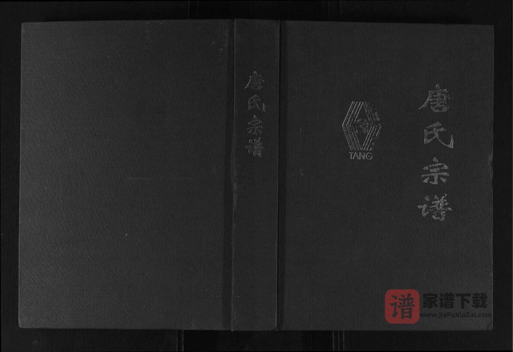 ‌四川资阳安岳唐氏宗谱PDF高清电子版下载